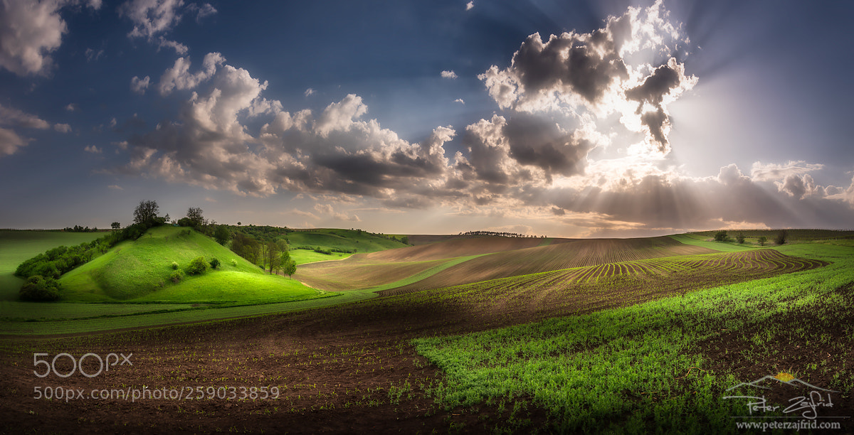 Nikon D810 sample photo. Spring light i photography
