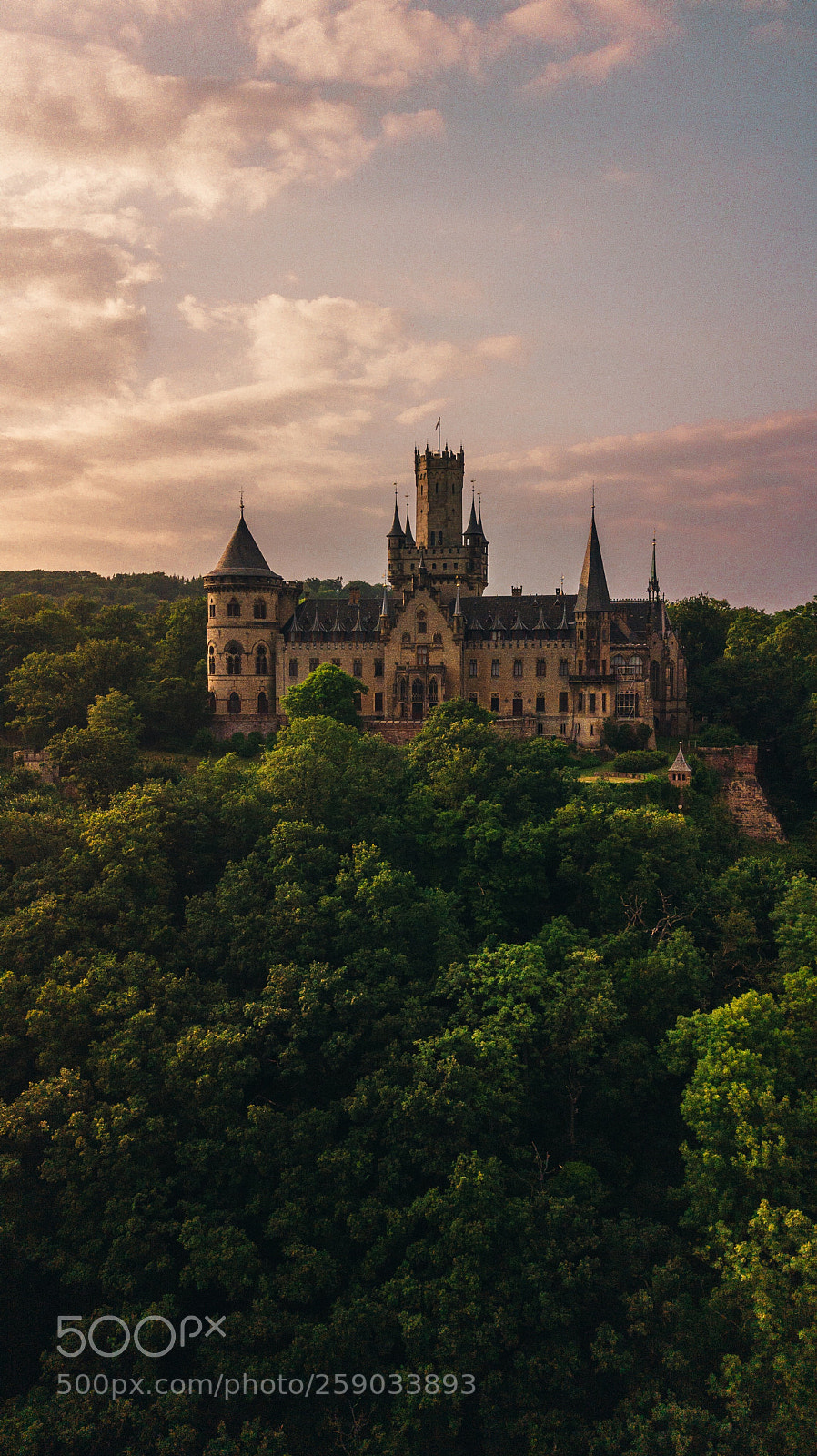 DJI FC220 sample photo. Castle in the woods photography