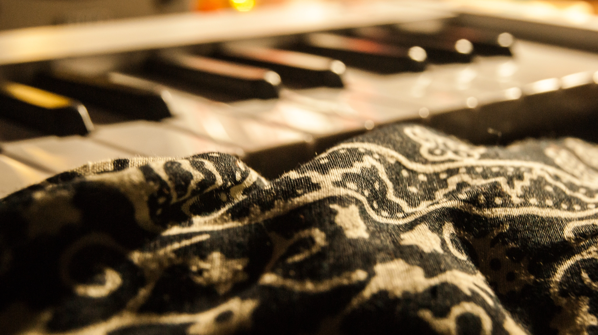 Sony Alpha DSLR-A290 sample photo. Music photography