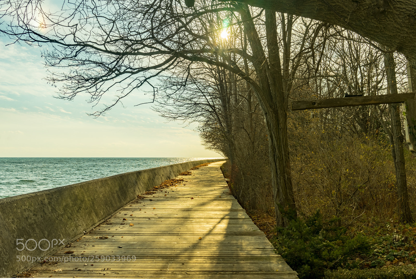 Sony a7 sample photo. Winter warmth photography