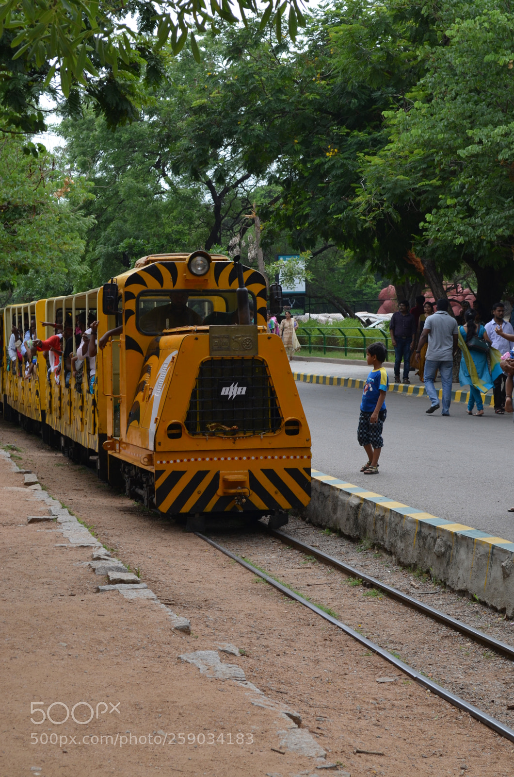 Nikon D5100 sample photo. My first picture. photography