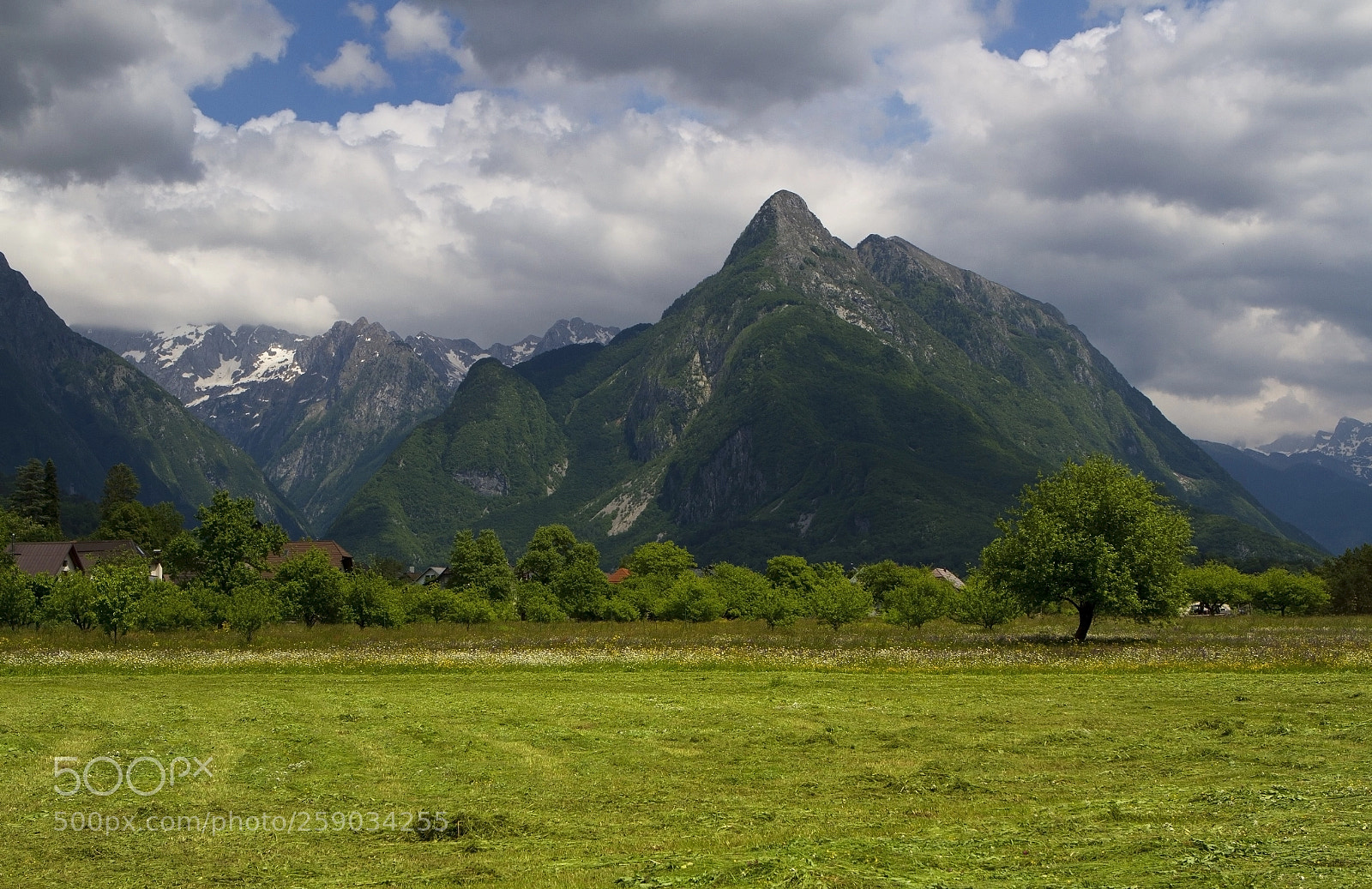 Canon EOS 7D sample photo. Svinjak photography