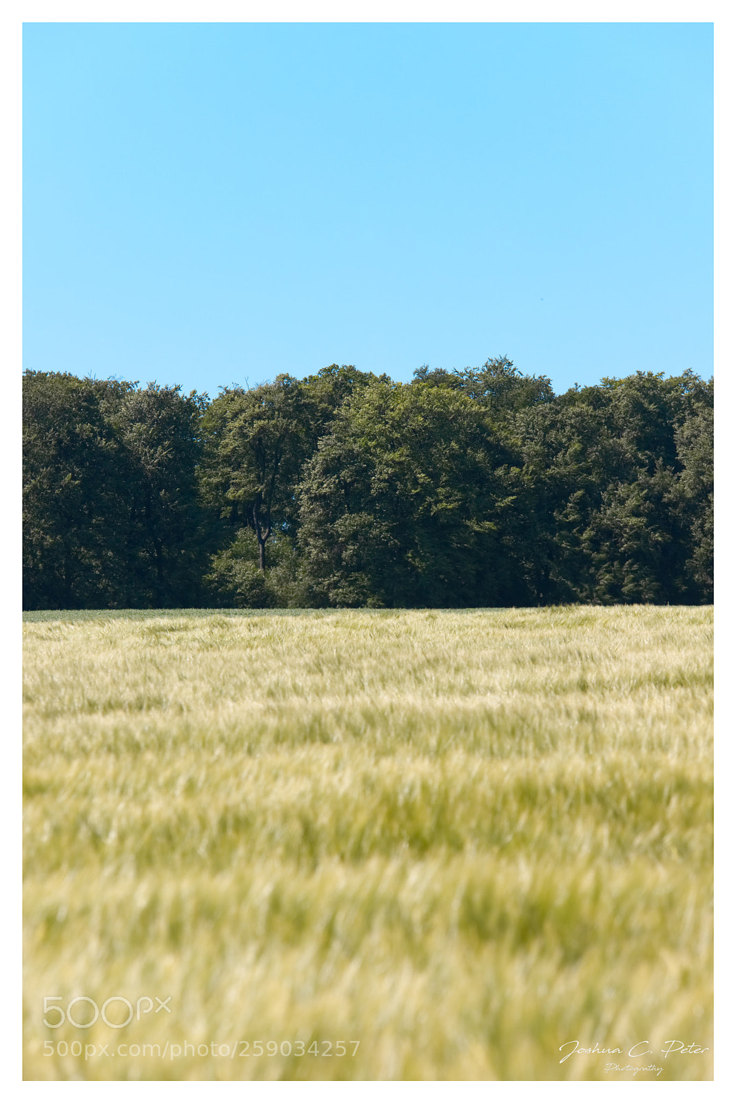Canon EOS 6D Mark II sample photo. German idyllic landscape photography