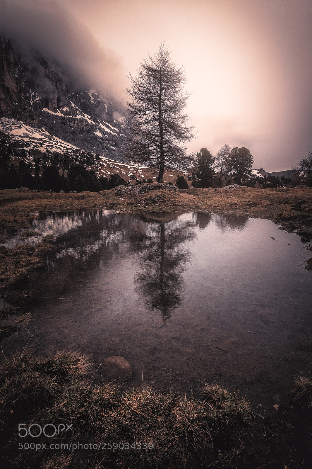 Nikon D7200 sample photo. Reflections photography