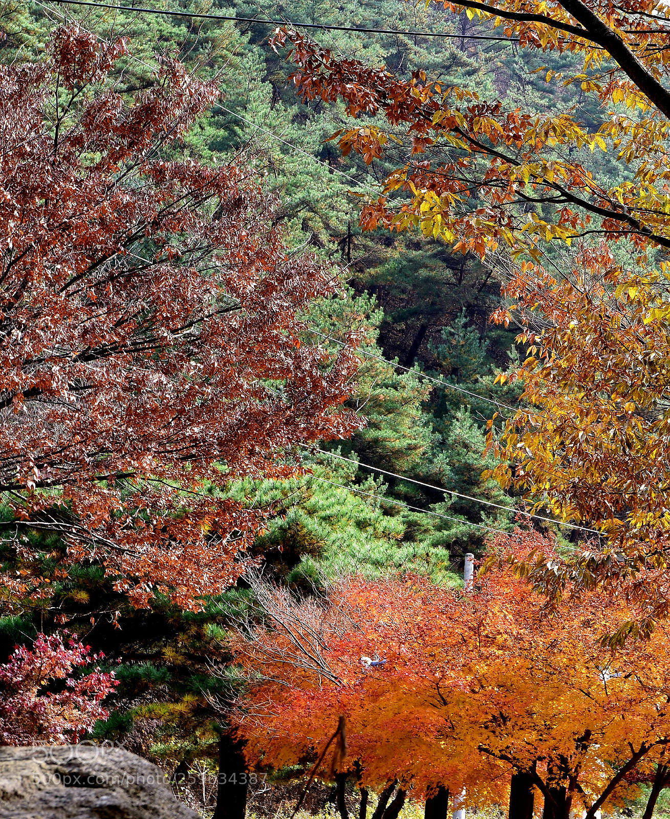 Nikon D750 sample photo. * love is dreamlike ( ii ) photography