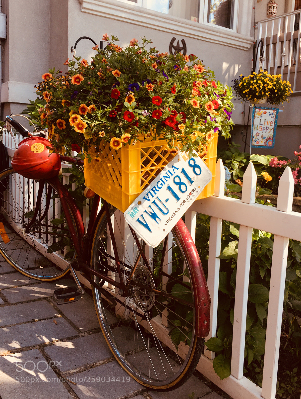 Apple iPhone 6s Plus sample photo. 1818 old bike  photography