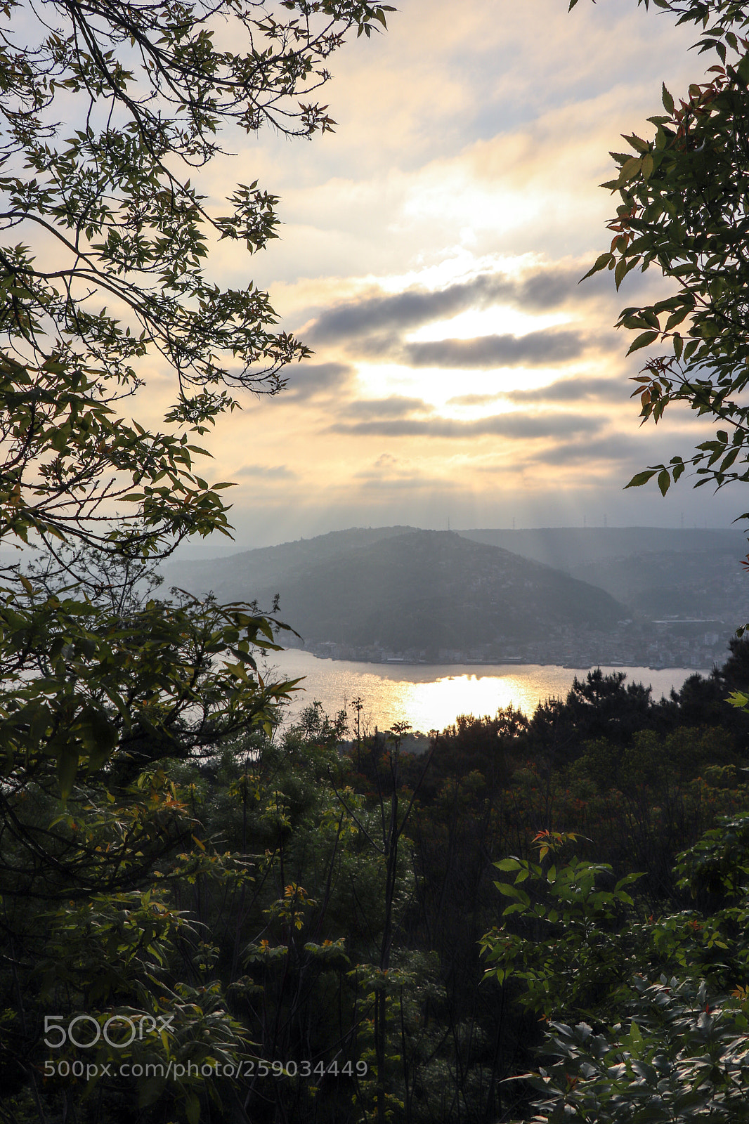 Canon EOS 77D (EOS 9000D / EOS 770D) sample photo. Untitled photography