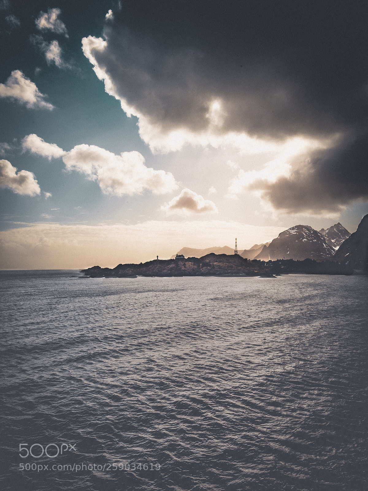 Nikon D750 sample photo. Lofoten's first encounter photography