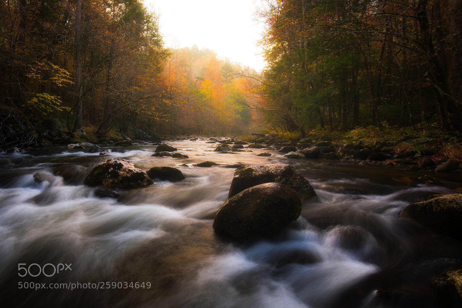 Canon EOS 5D Mark IV sample photo. Smoky mountain stream photography