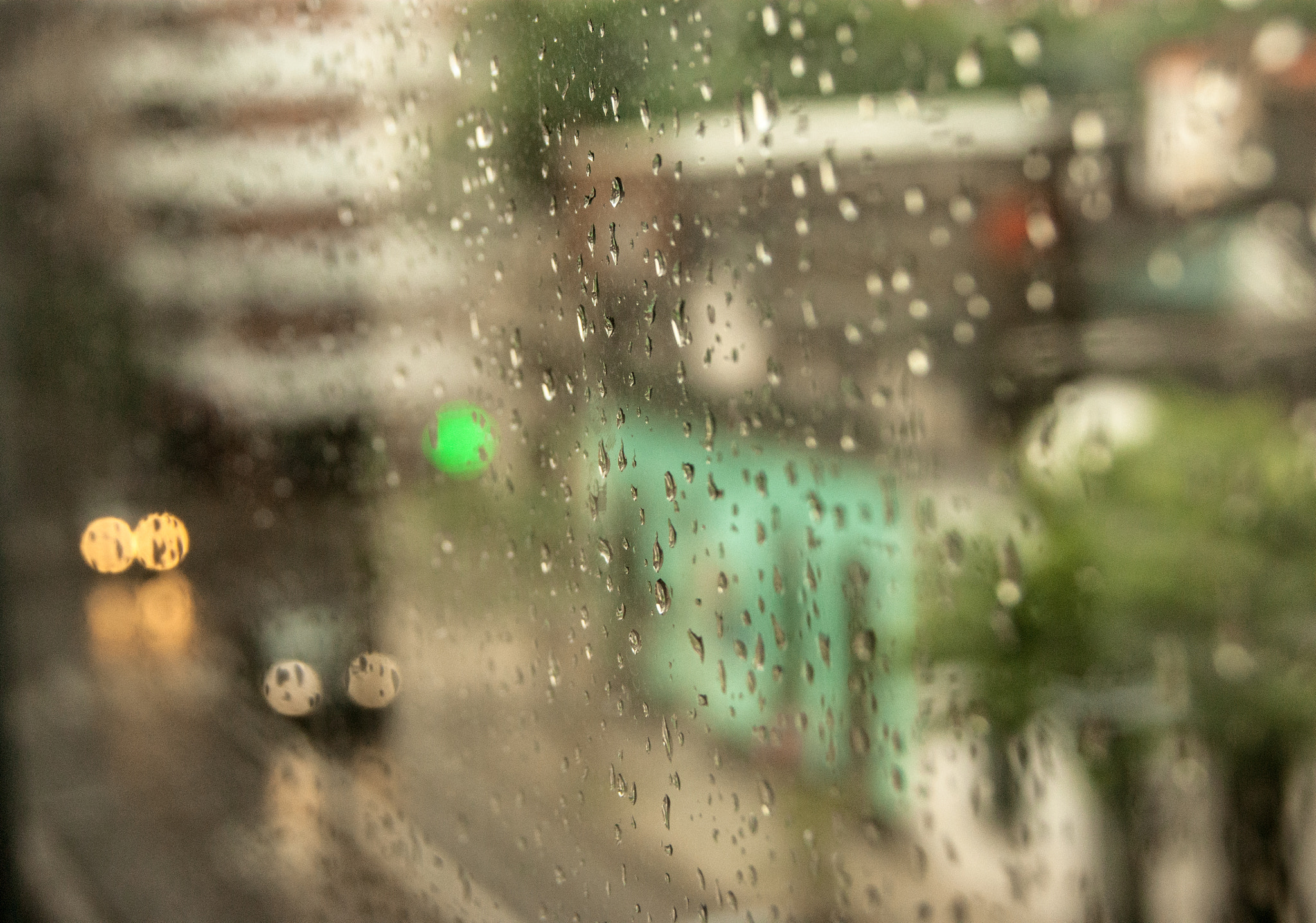 Sony Alpha DSLR-A290 sample photo. Rain mood photography