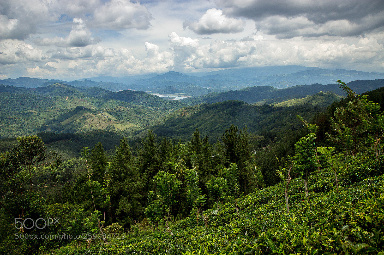 Canon EOS 600D (Rebel EOS T3i / EOS Kiss X5) sample photo. Knuckle mountain range photography