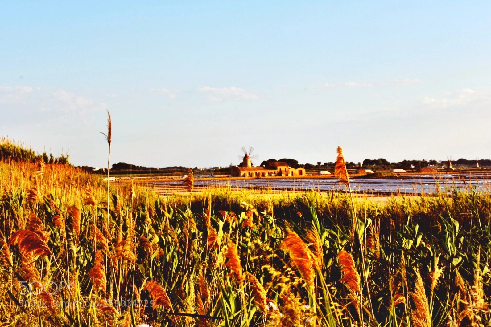 Nikon D3400 sample photo. Windmill, the last photography