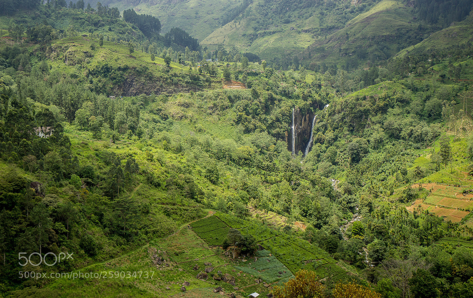 Canon EOS 600D (Rebel EOS T3i / EOS Kiss X5) sample photo. Nuwara eliya photography