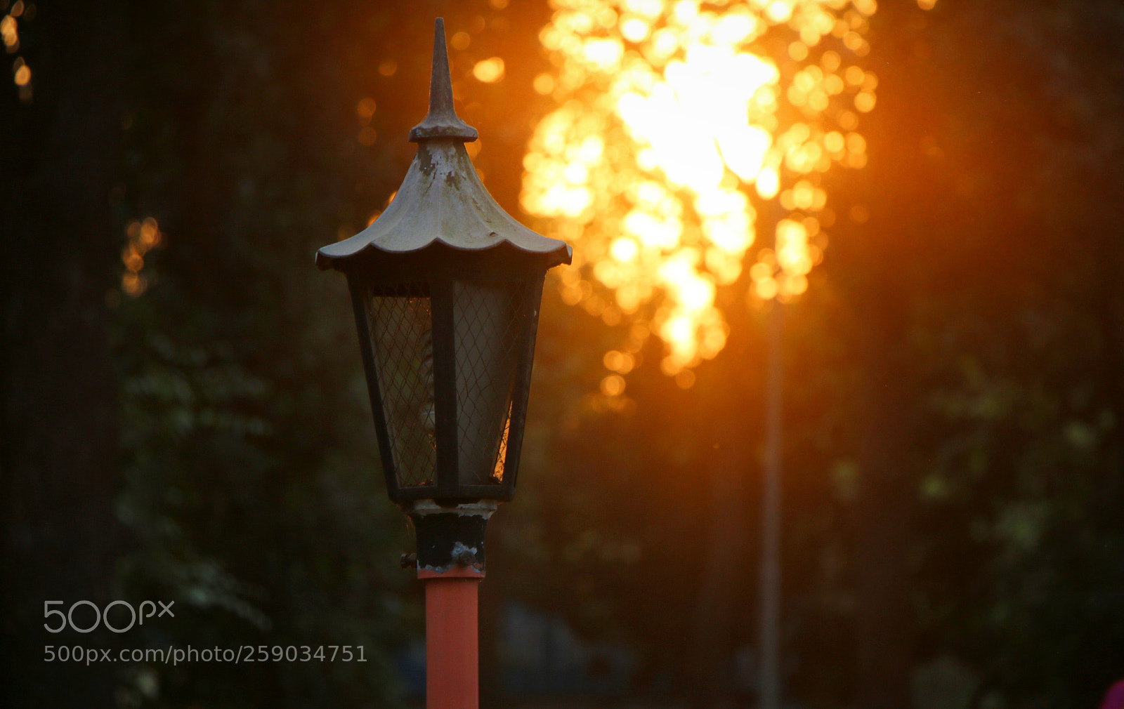 Canon EOS 70D sample photo. The heart of light photography