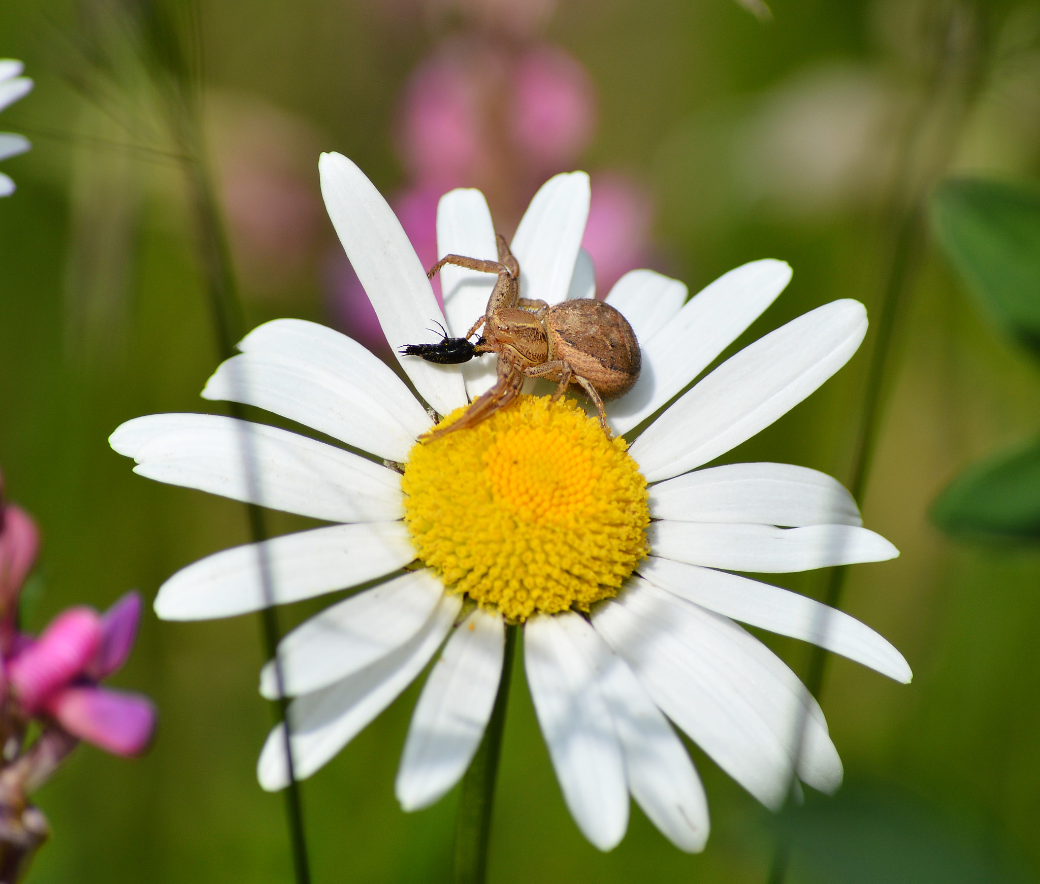 Nikon D3200 sample photo