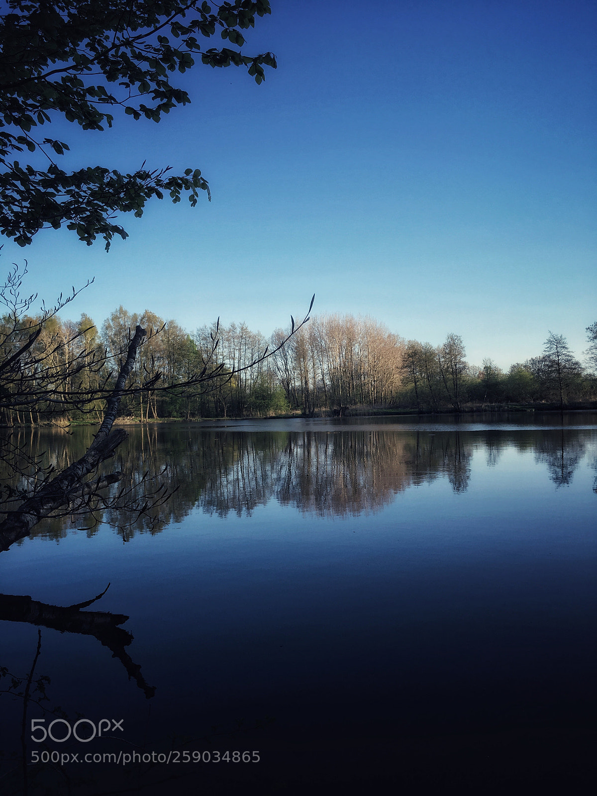 Apple iPhone 6s Plus sample photo. Wild mirror photography