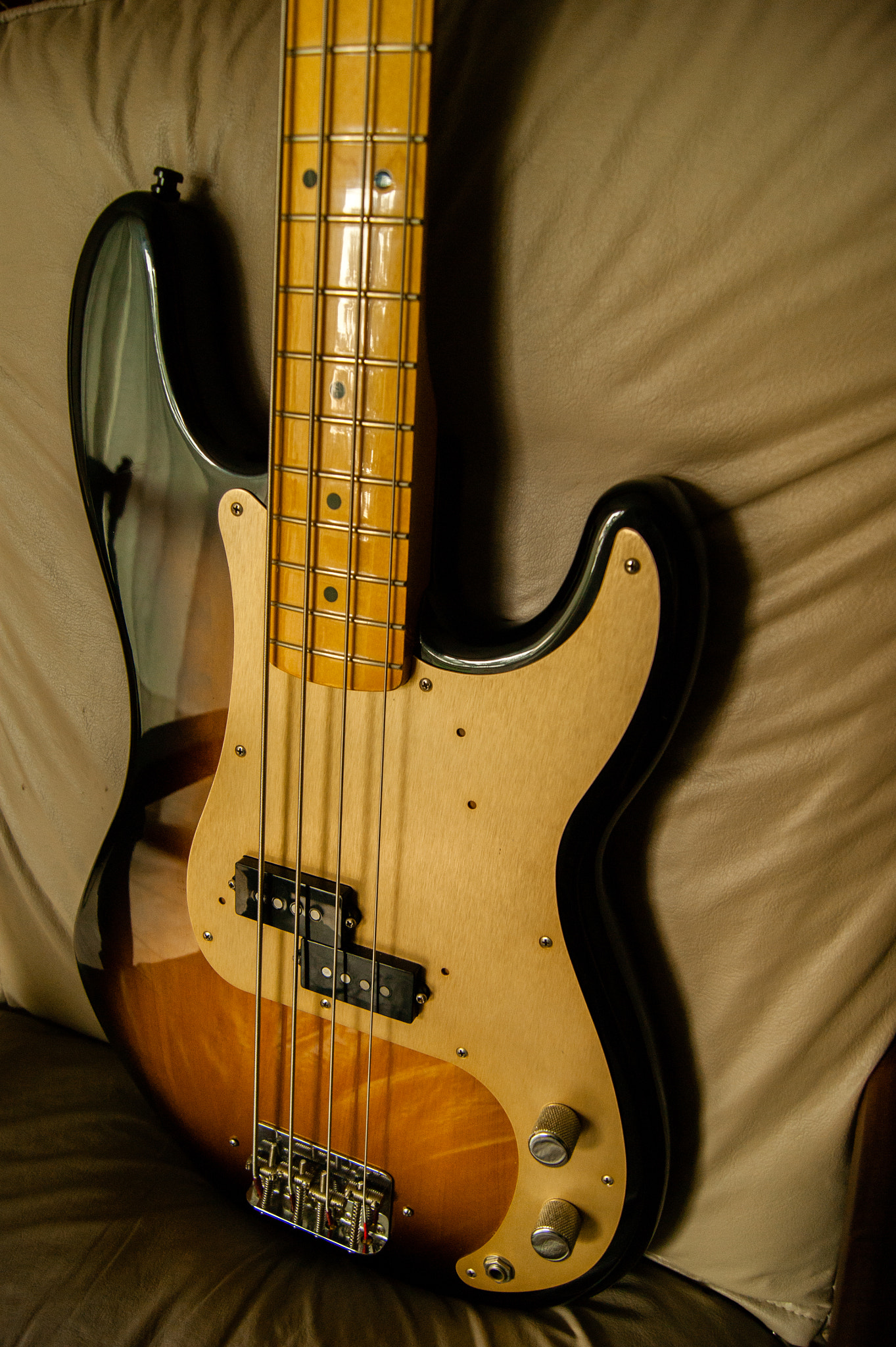 Sony Alpha DSLR-A290 sample photo. Fender pbass photography