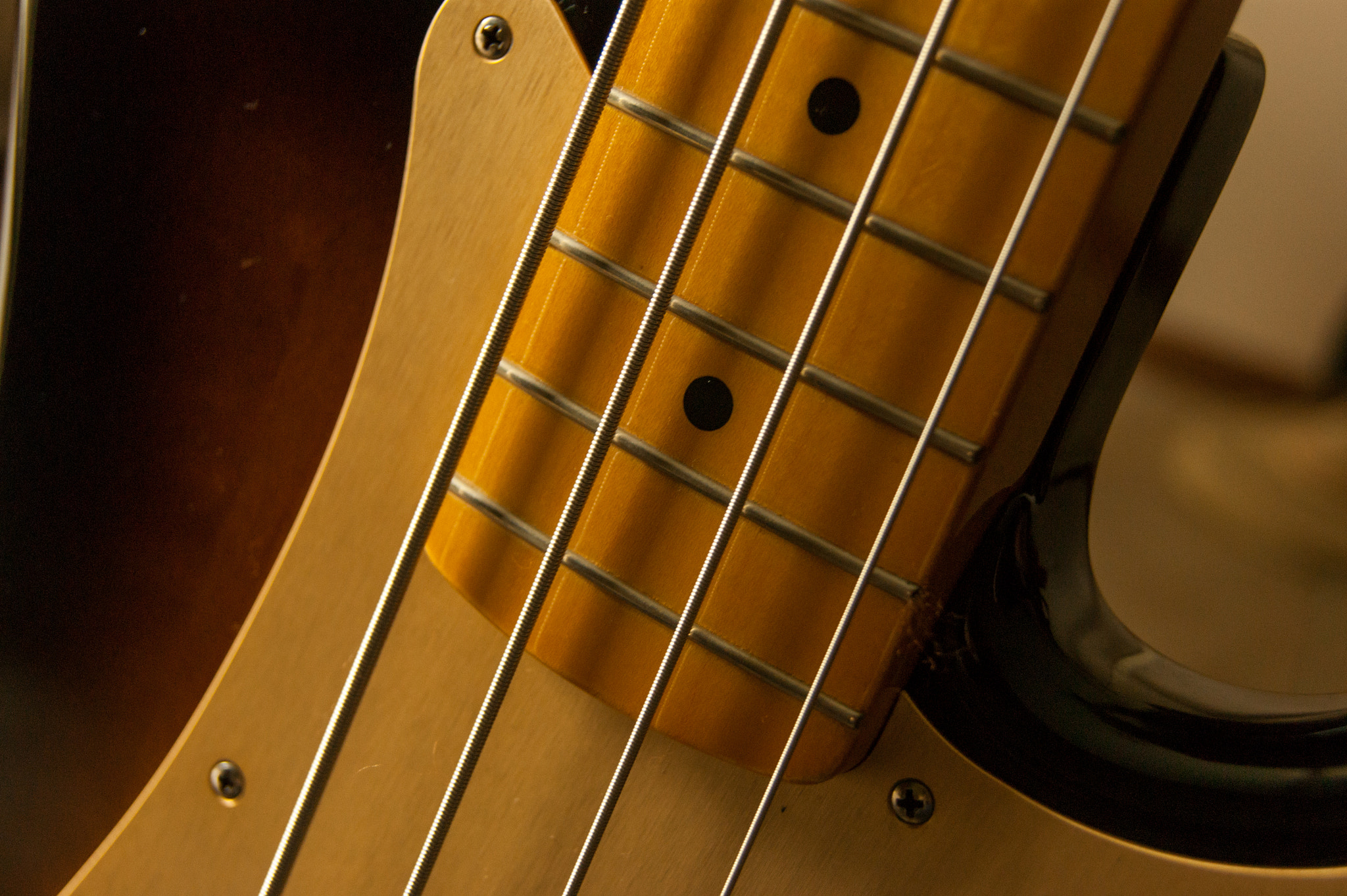 Sony Alpha DSLR-A290 sample photo. Fender pbass photography