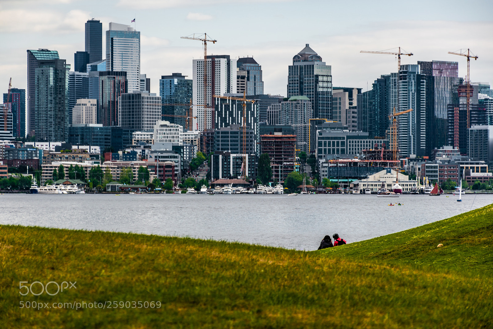 Nikon D5600 sample photo. City view photography
