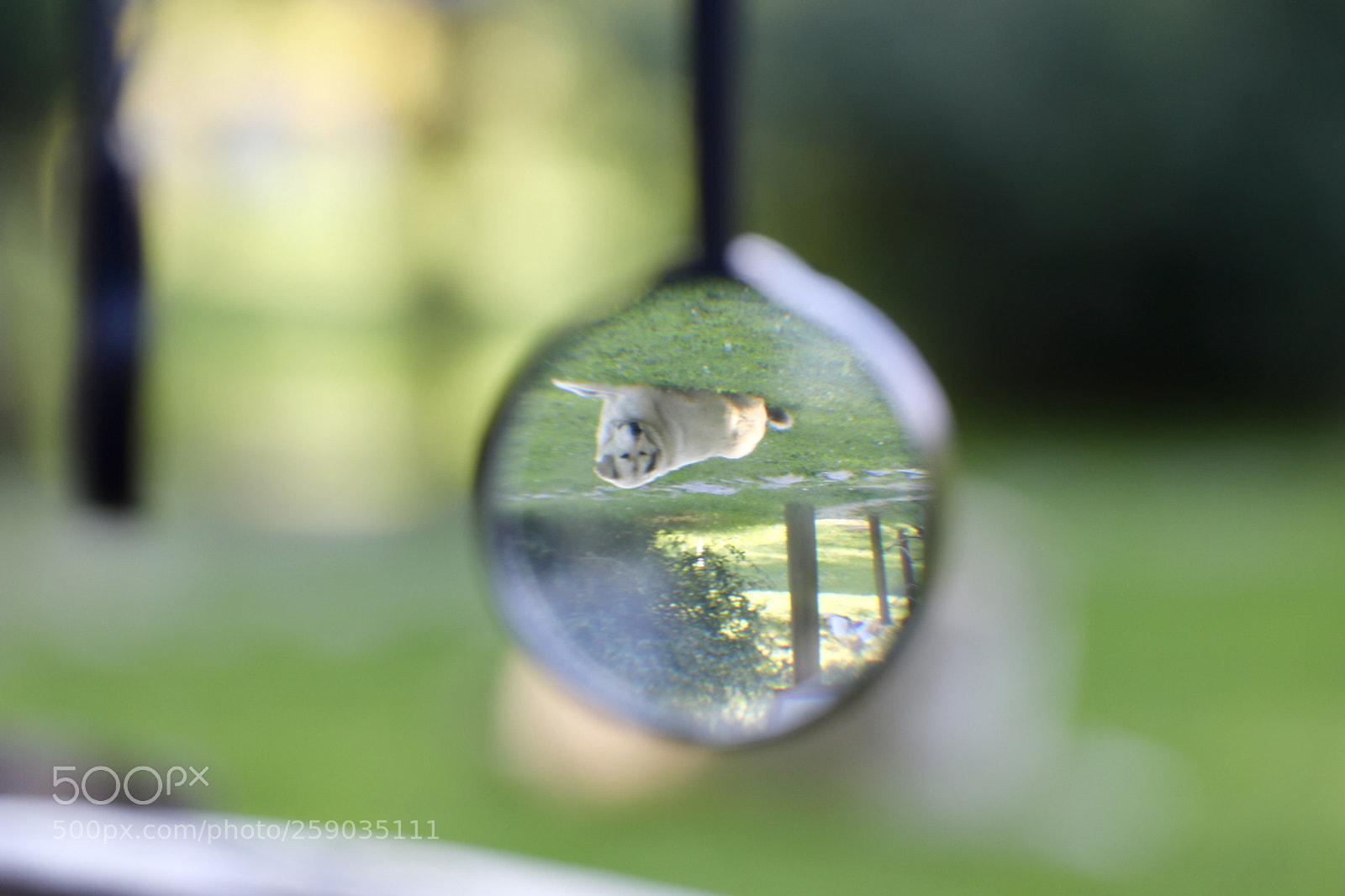 Canon EOS 77D (EOS 9000D / EOS 770D) sample photo. Untitled photography