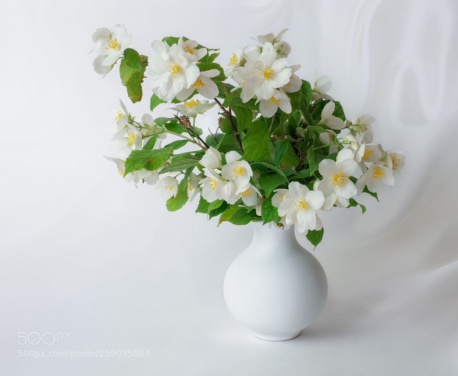 Olympus OM-D E-M1 Mark II sample photo. Olympus digital camera photography