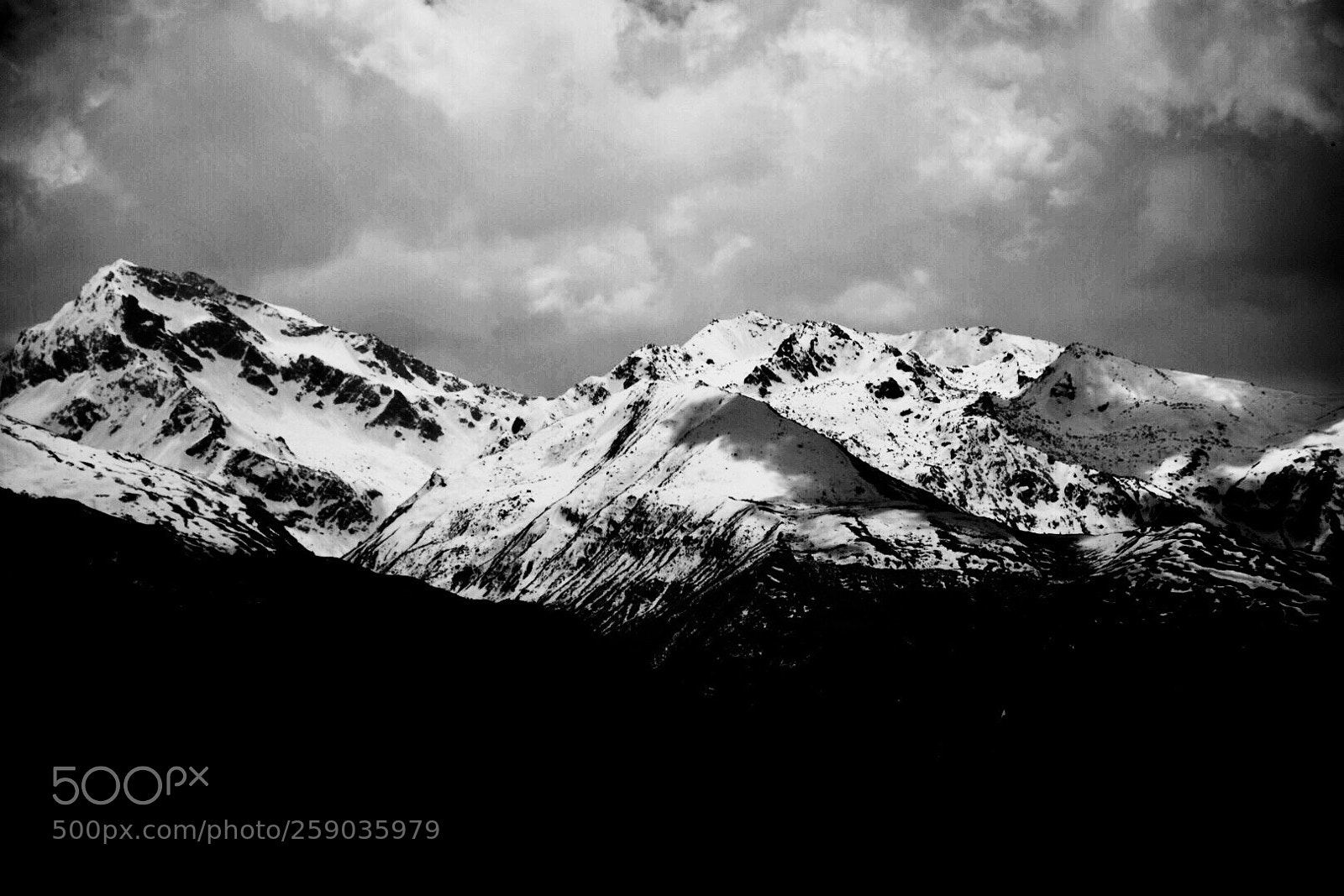 Nikon D5300 sample photo. Black and white photography