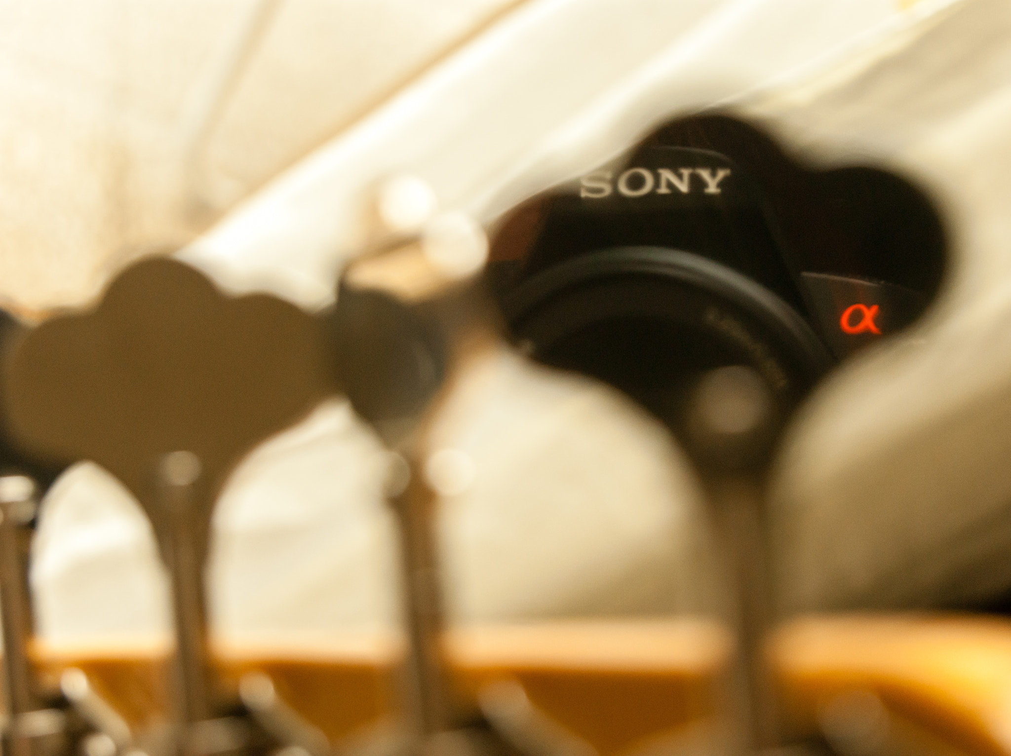 Sony Alpha DSLR-A290 sample photo. Fender pbass sony photography