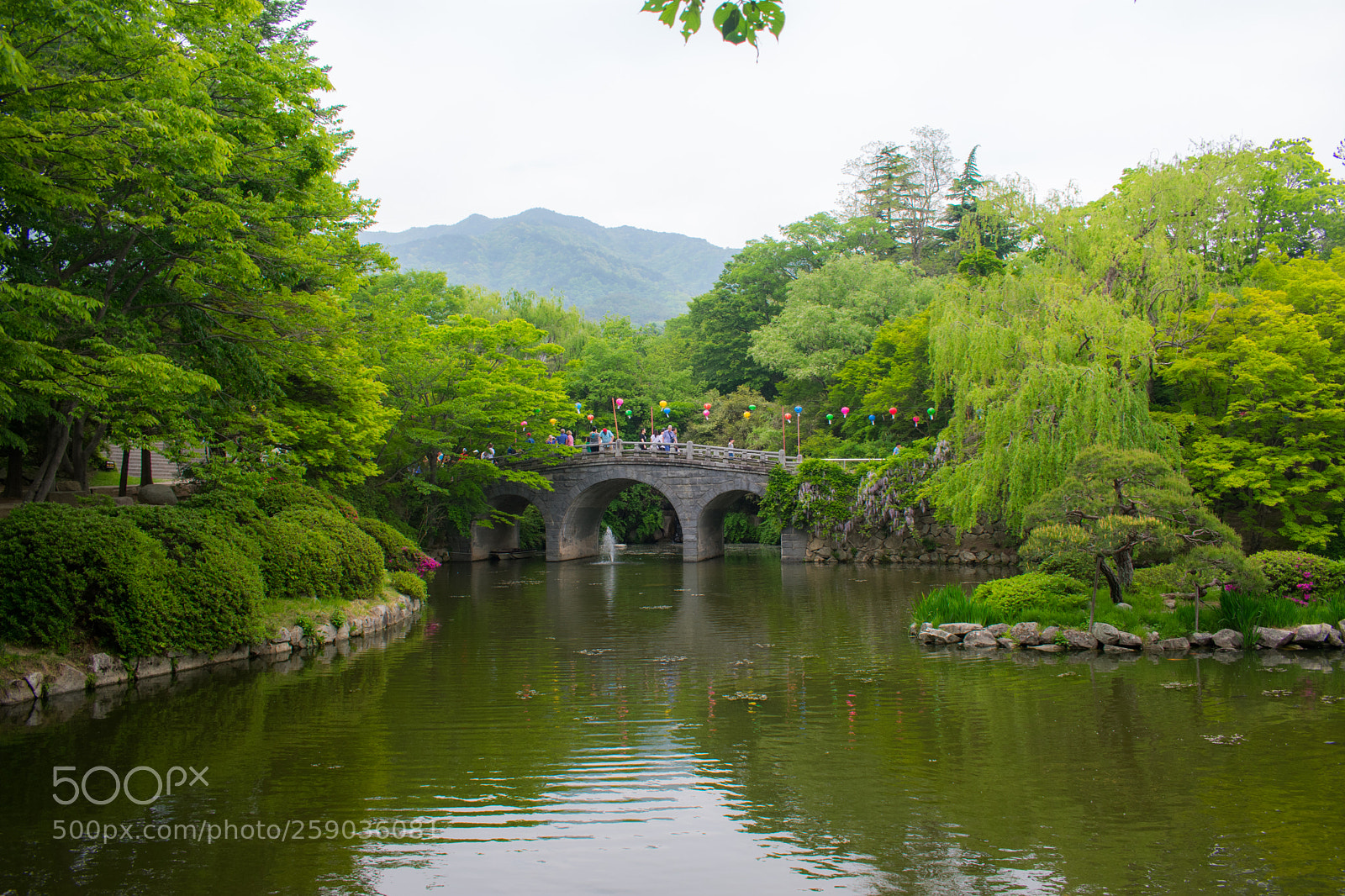 Nikon D3400 sample photo. Stone bridge, bulguksa temple photography