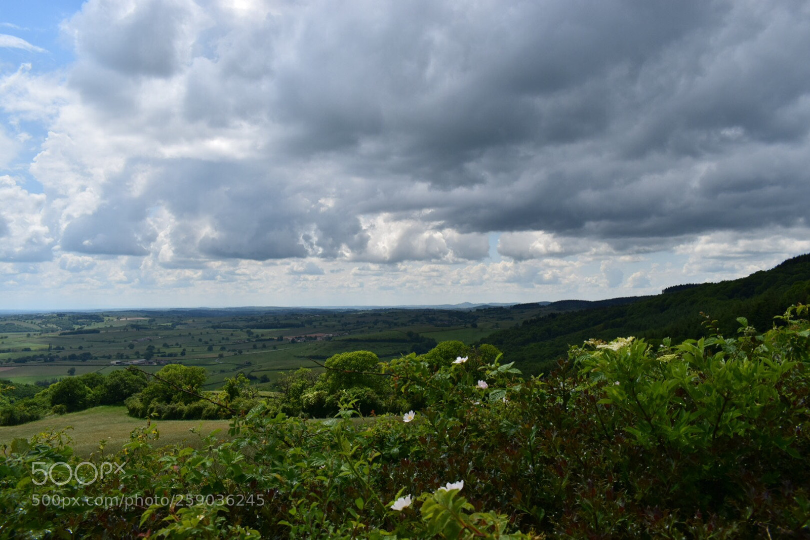 Nikon D5300 sample photo. Vue de drone  photography