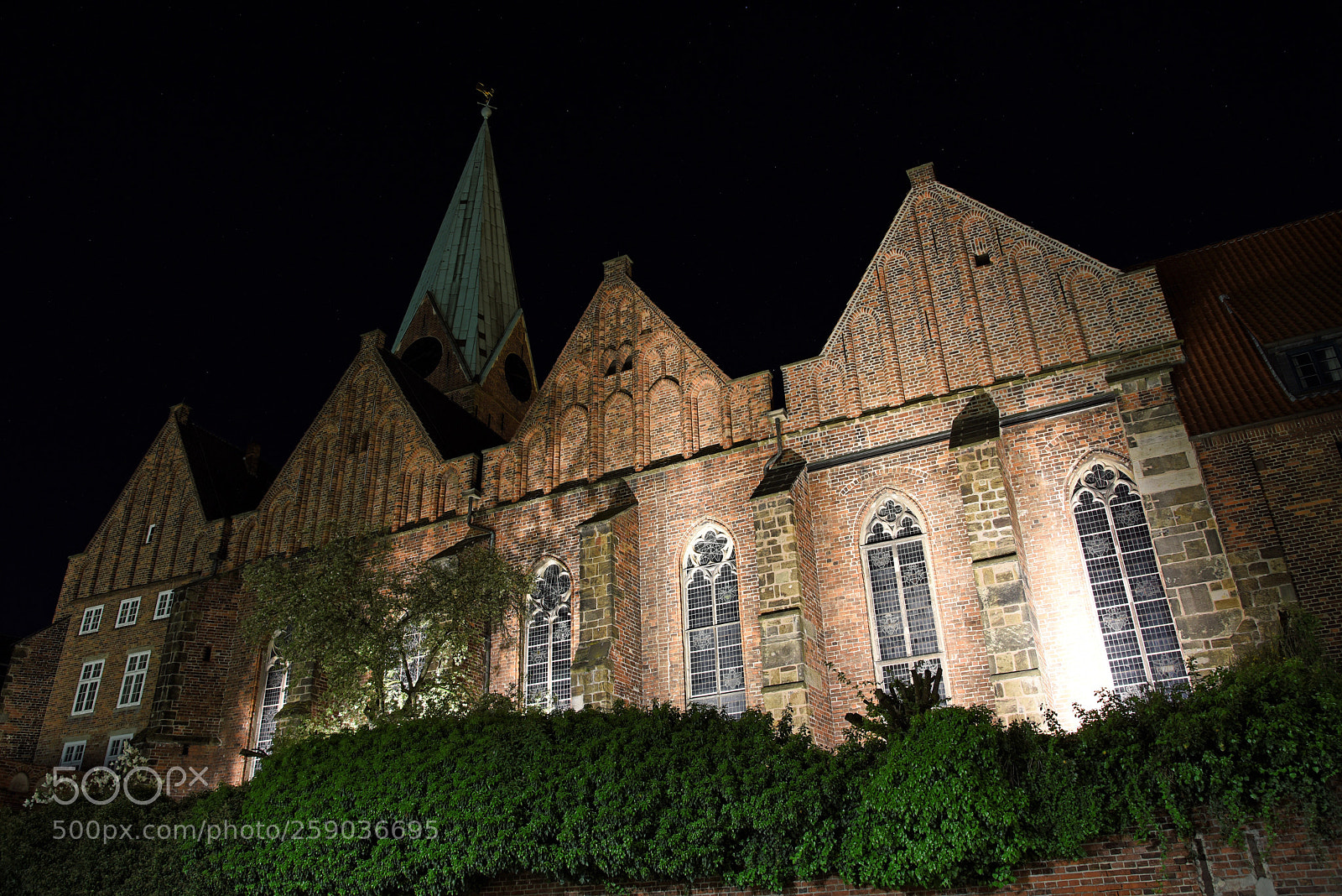 Nikon D750 sample photo. St. martini photography