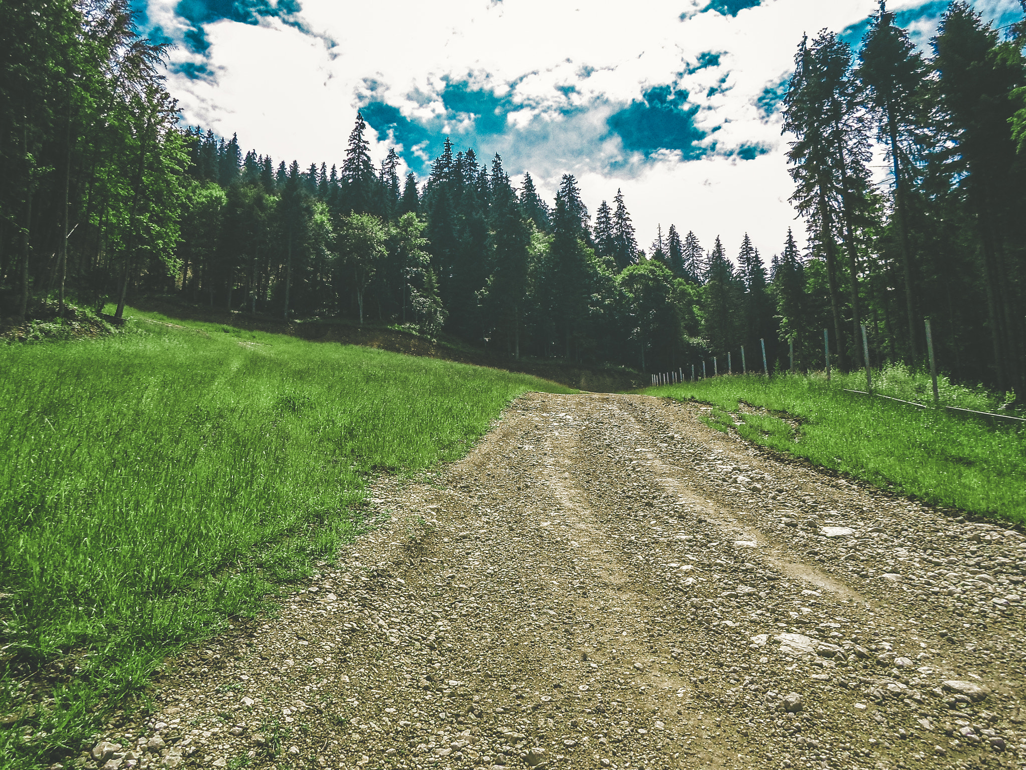 Samsung ST77 / ST79 sample photo. Road...nature photography