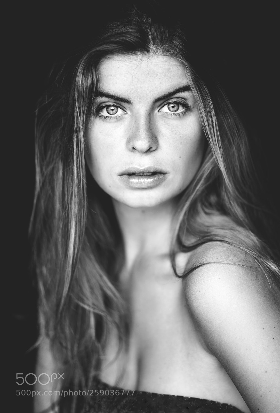 Nikon D810 sample photo. Untitled photography