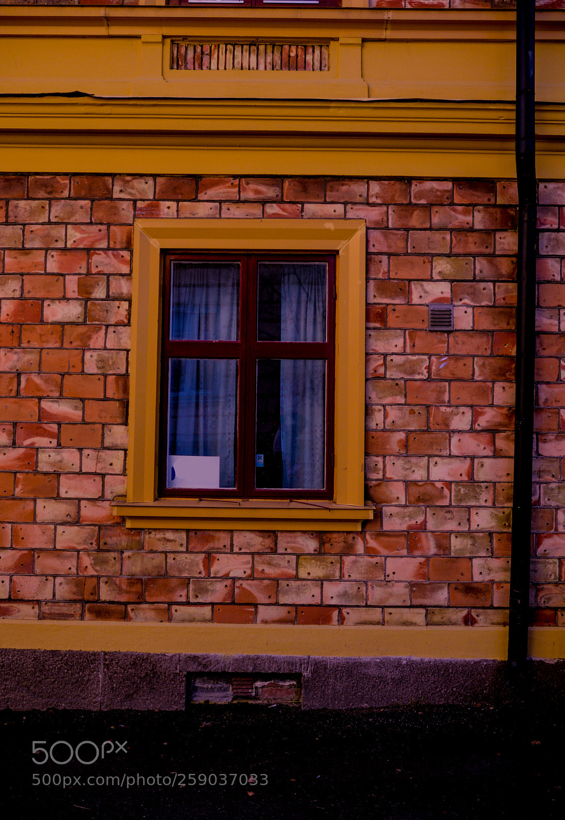 Nikon D7100 sample photo. A brick wall with photography