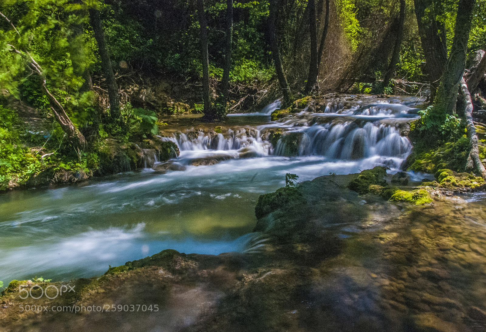 Nikon D80 sample photo. Beautiful nature photography