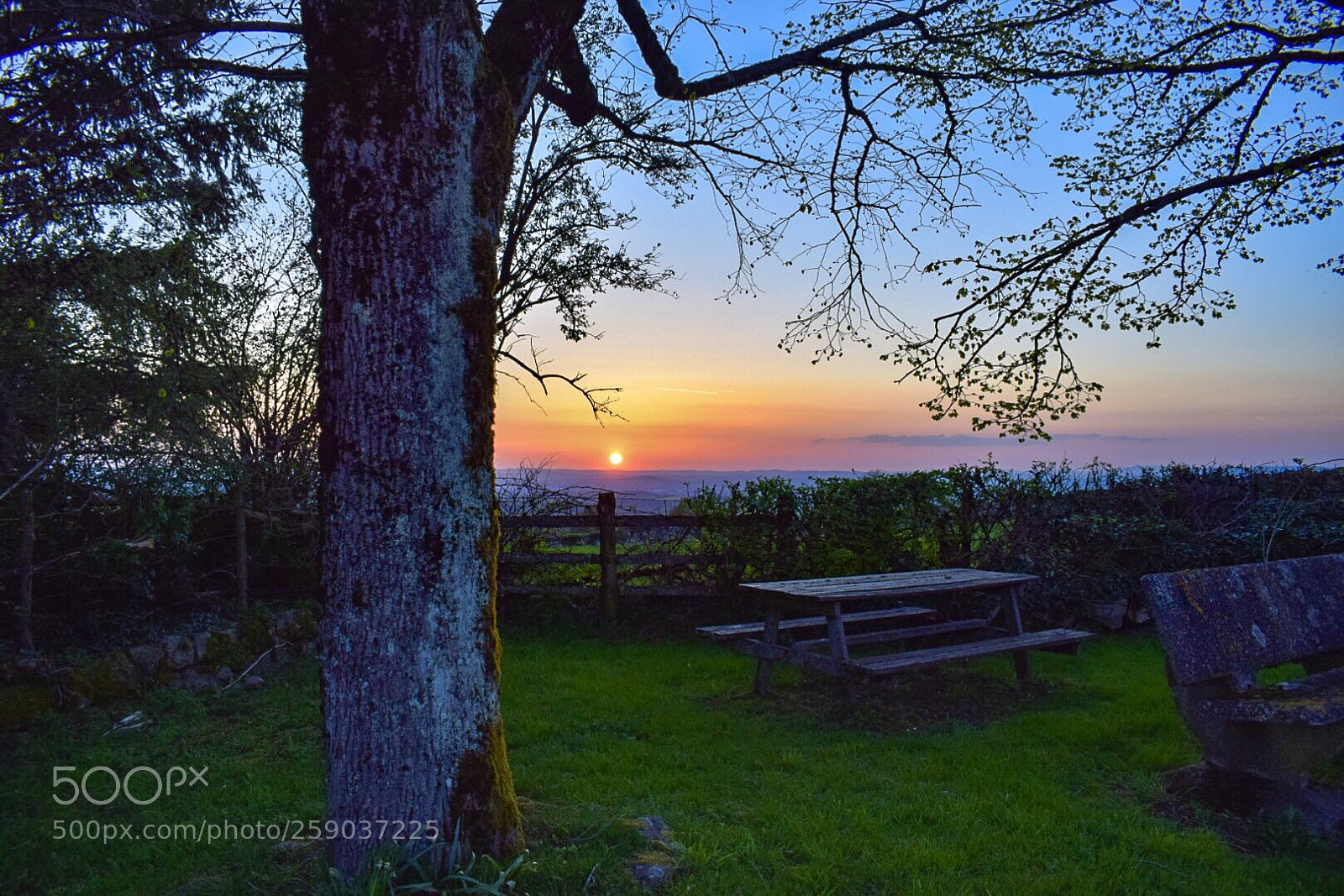 Nikon D5300 sample photo. Couch de soleil sur photography