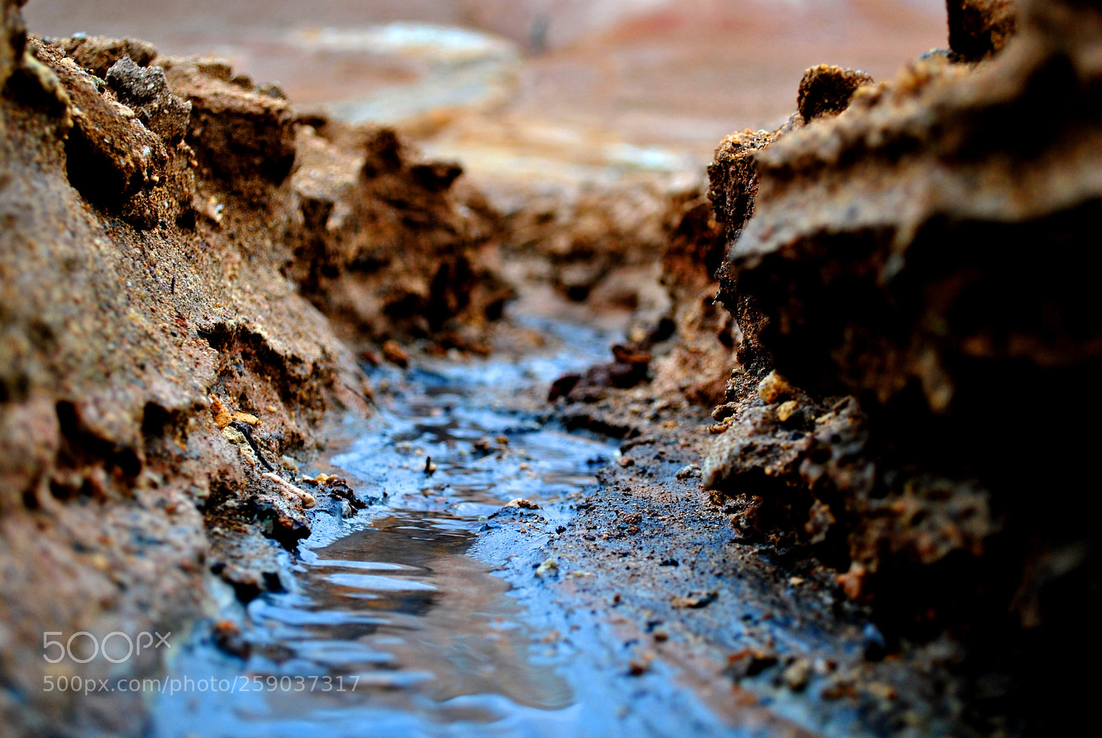 Nikon D3000 sample photo. Untitled photography