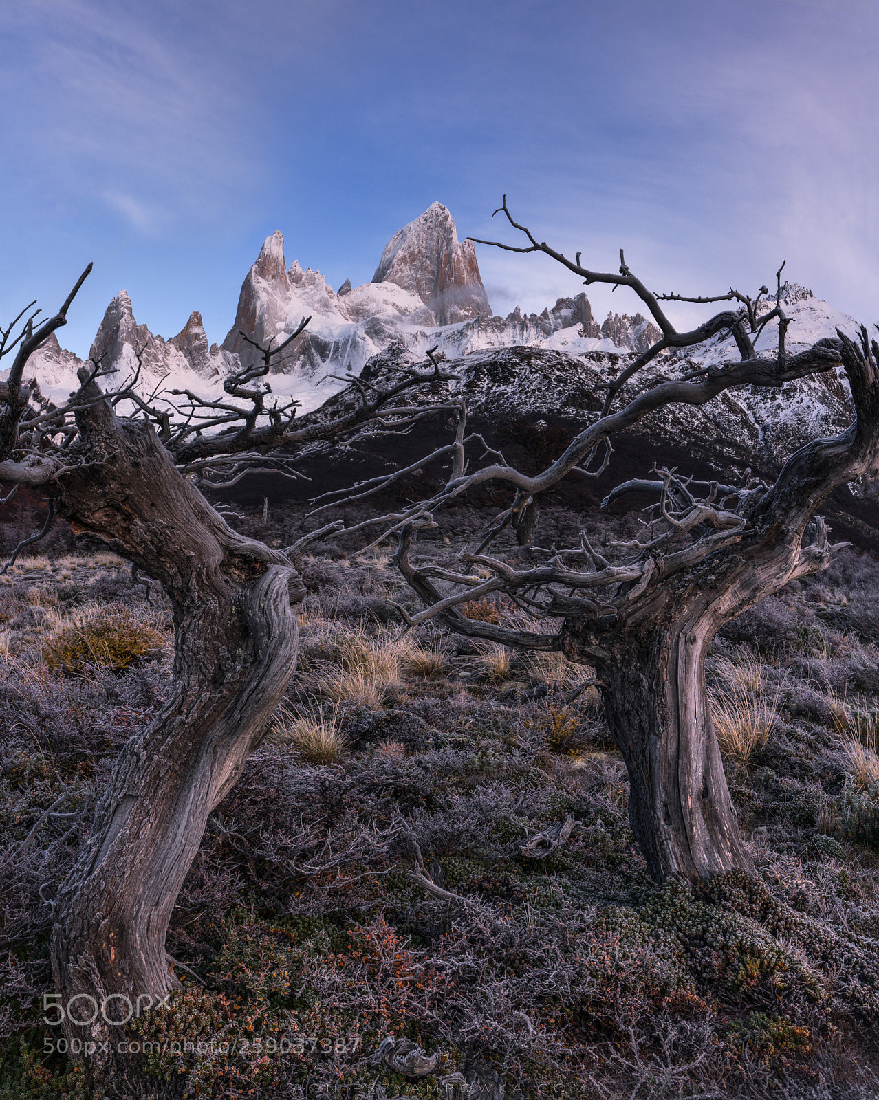 Sony a7R III sample photo. Frozen kingdom photography