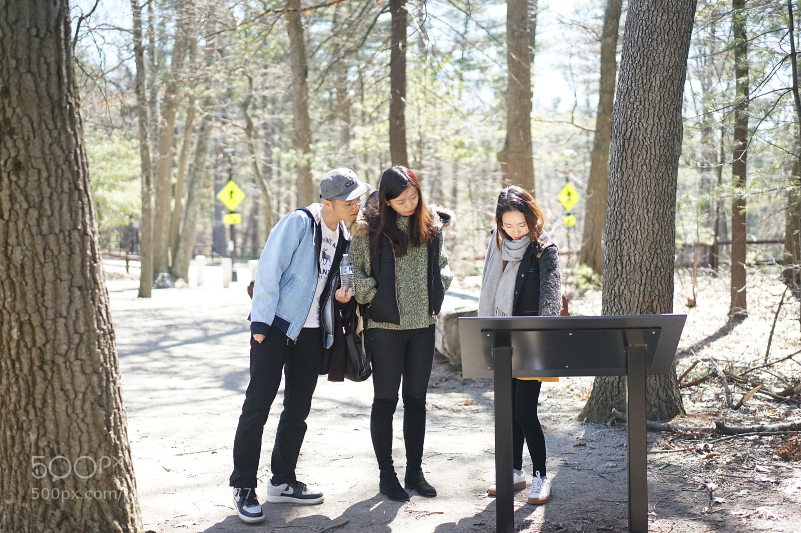 Sony a7 II sample photo. In the woods  photography