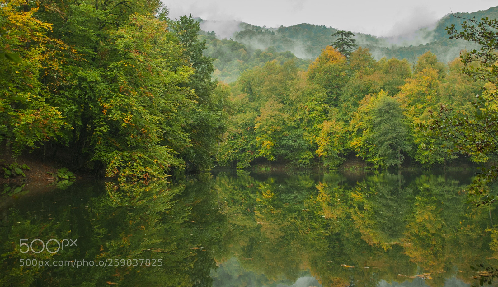 Nikon D80 sample photo. Beautiful nature photography