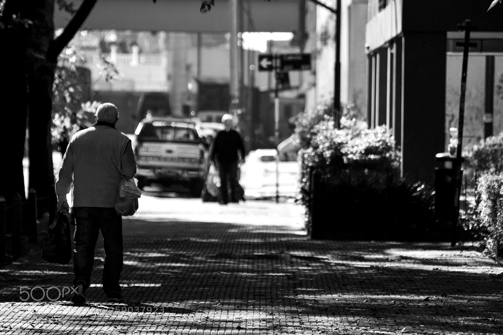 Nikon D5300 sample photo. Ya voy querida... photography