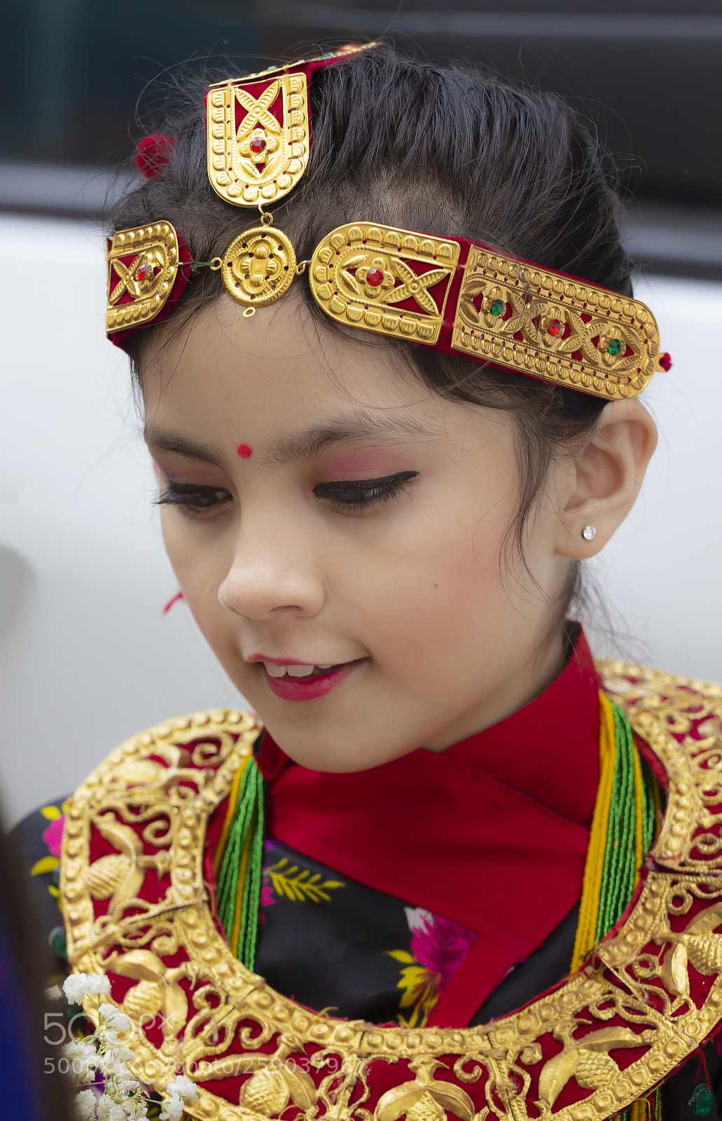 Canon EOS 60D sample photo. Nepalese day nyc 2018 photography