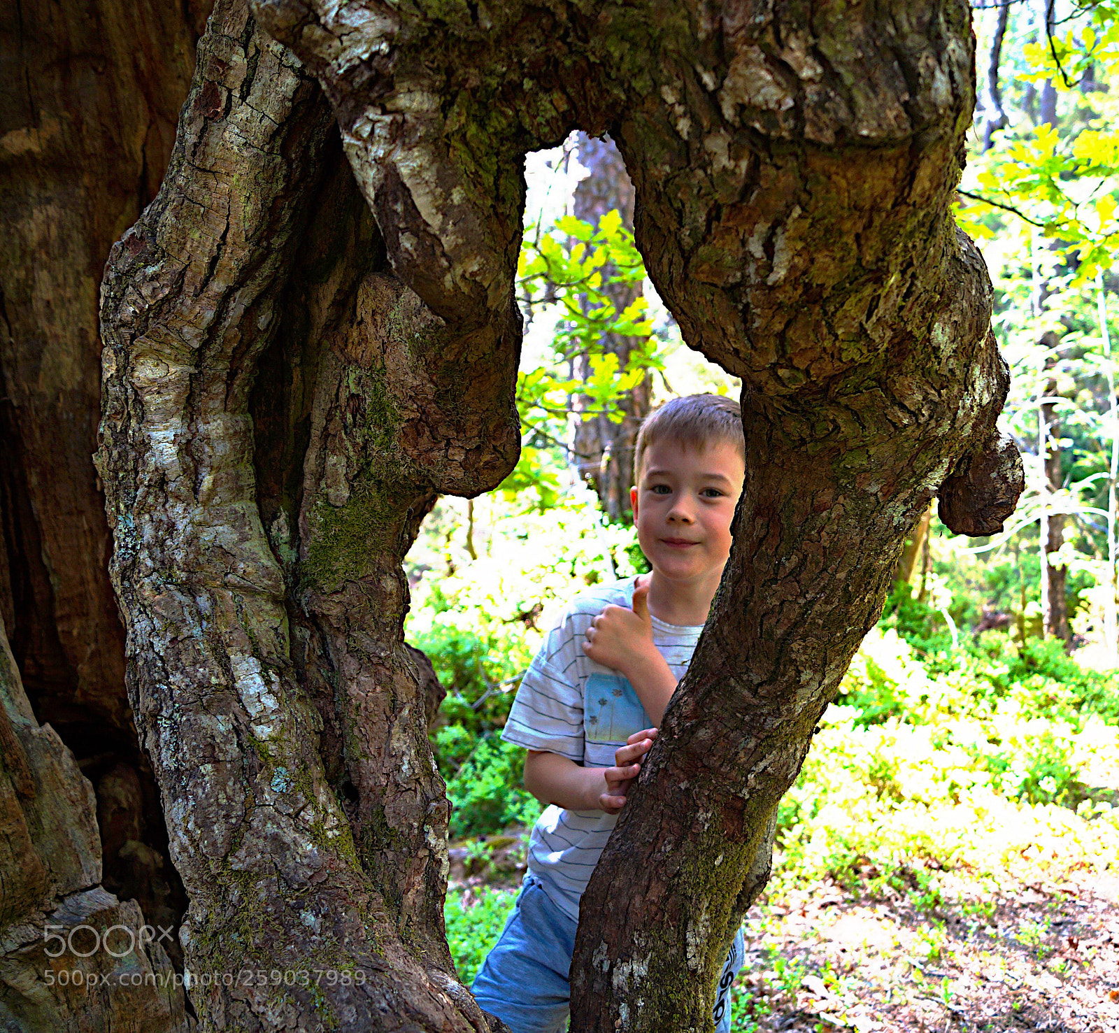 Sony SLT-A58 sample photo. Grandson and me out photography