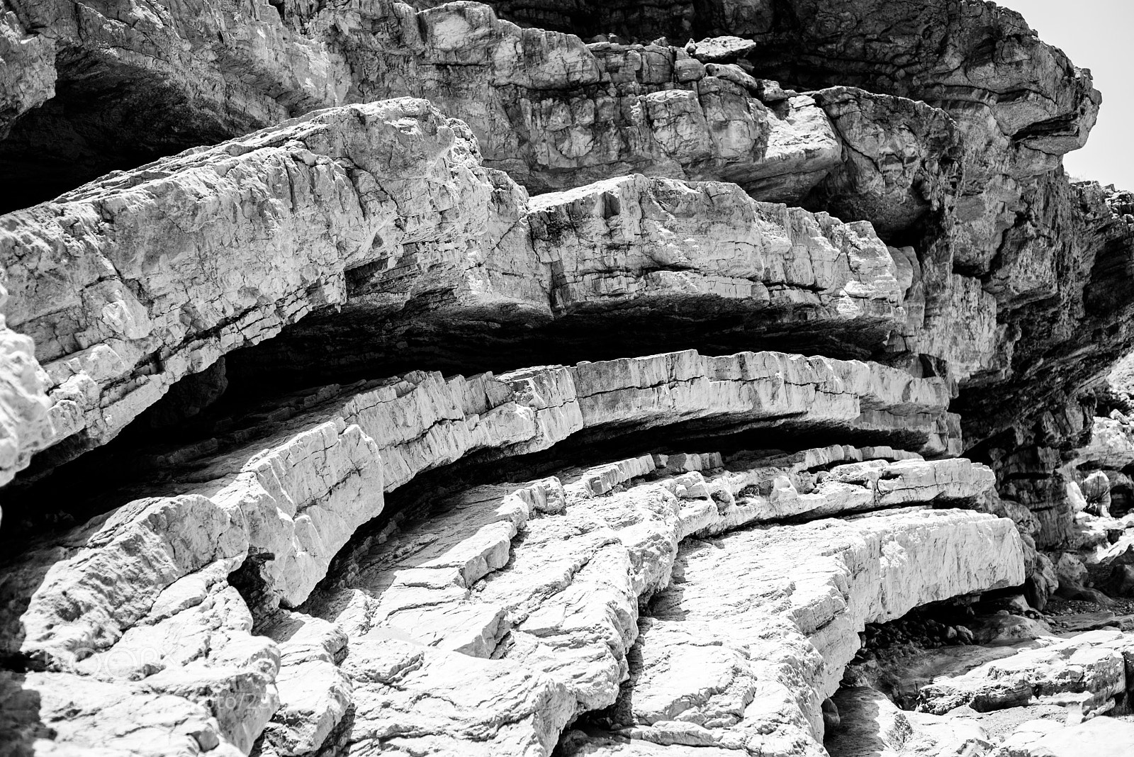 Nikon D750 sample photo. Layered photography