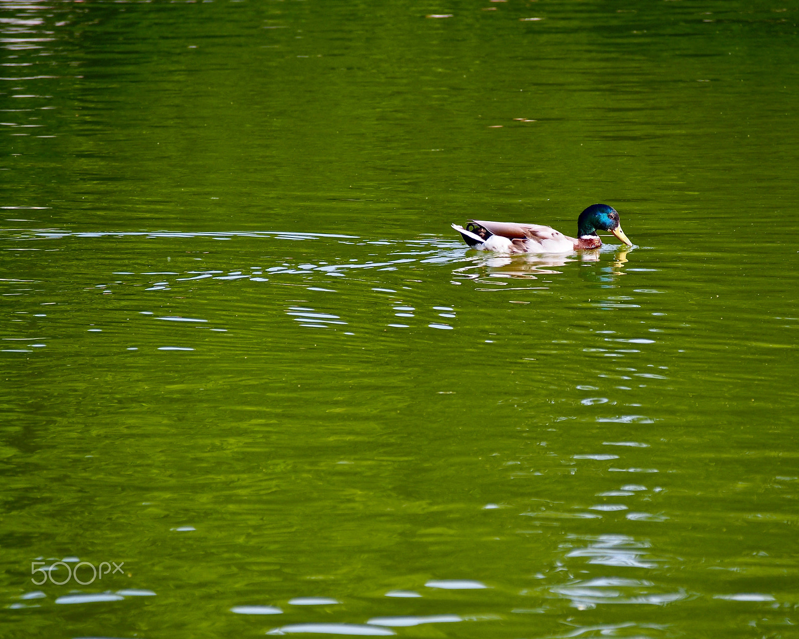 Olympus PEN E-PL6 sample photo. I see you photography