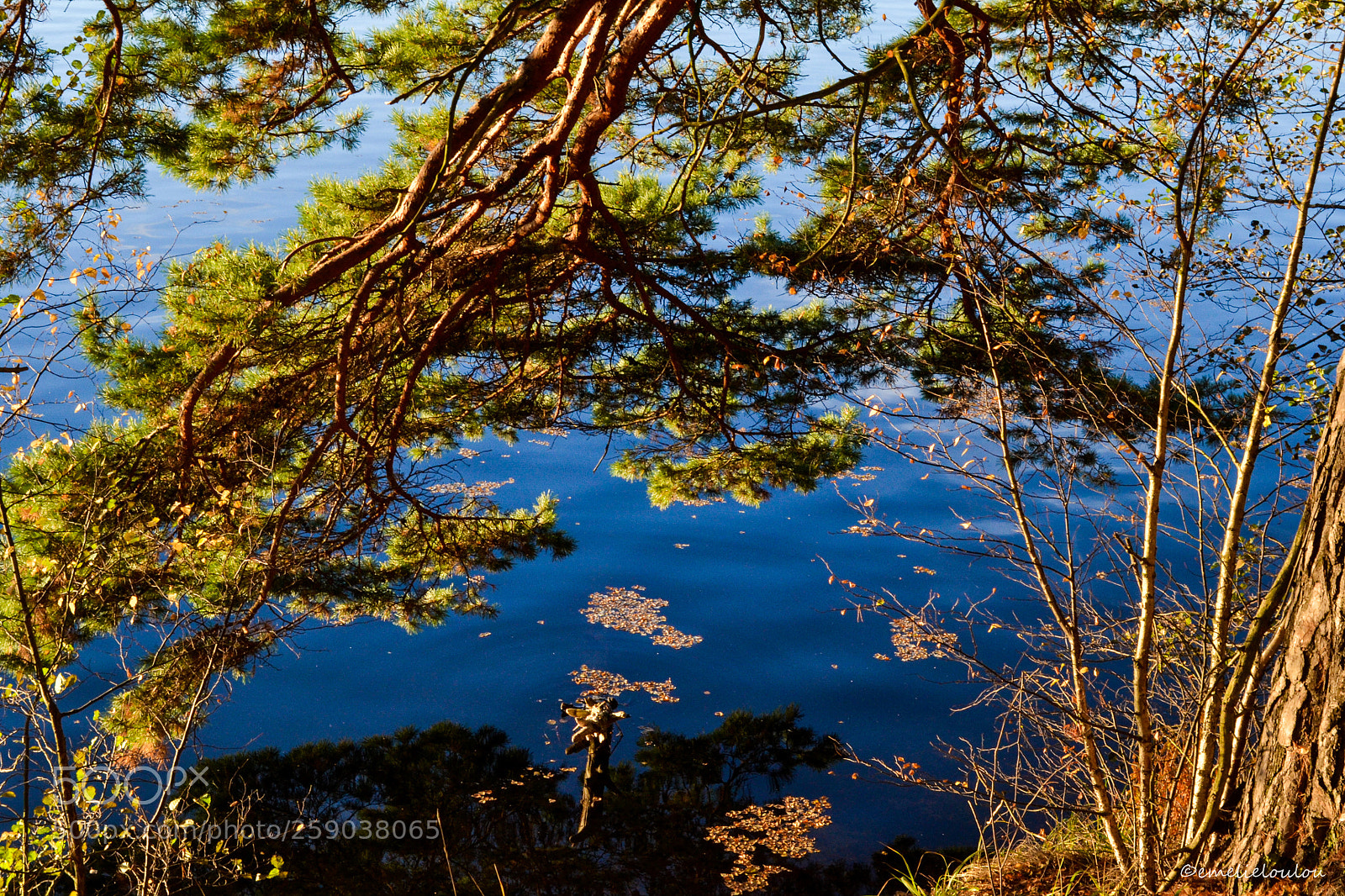 Nikon D3100 sample photo. Nordic colors photography