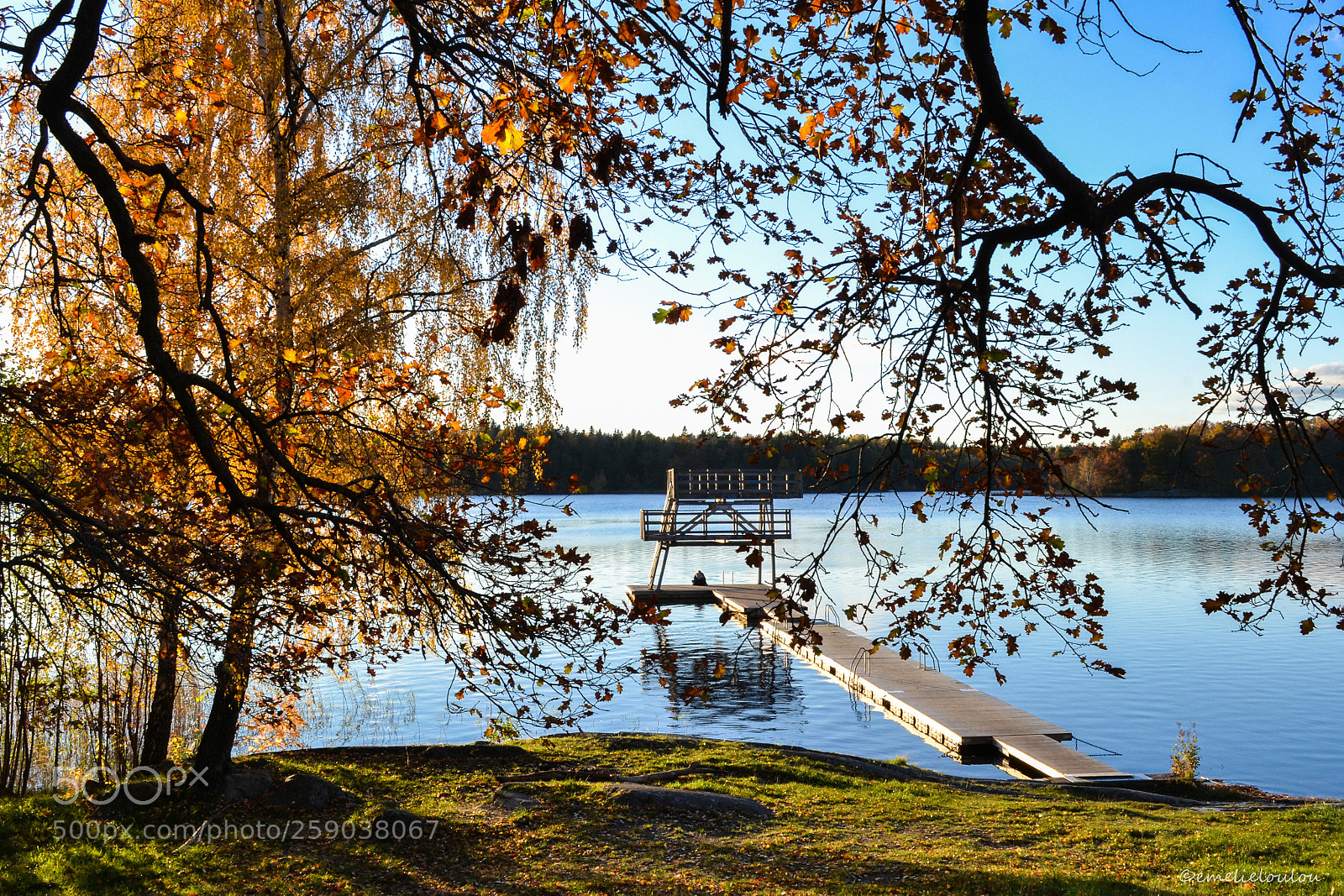Nikon D3100 sample photo. Swedish nature lake autumn photography