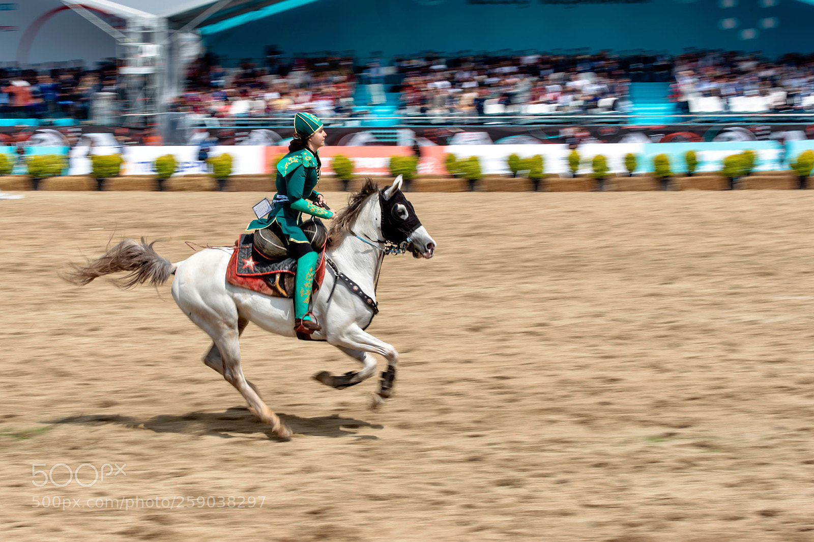 Nikon D750 sample photo. At photography