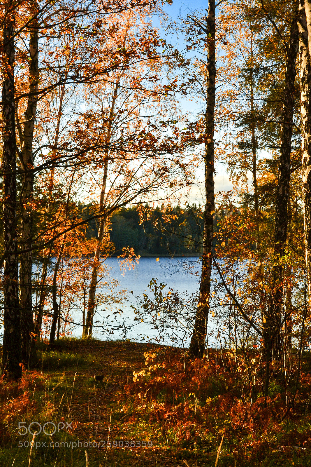 Nikon D3100 sample photo. Path to greater adventures photography