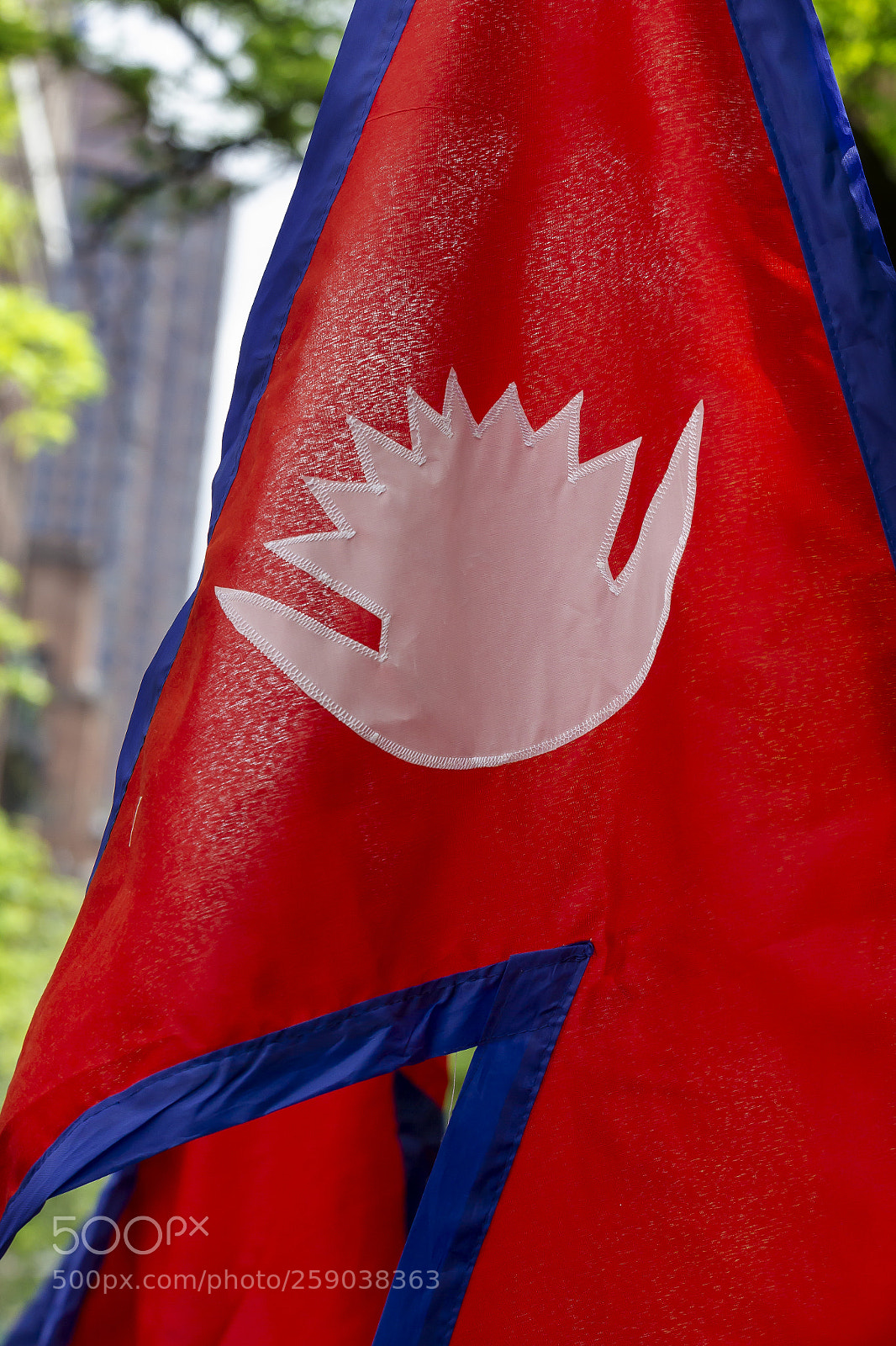 Canon EOS 60D sample photo. Nepalese day nyc 2018 photography