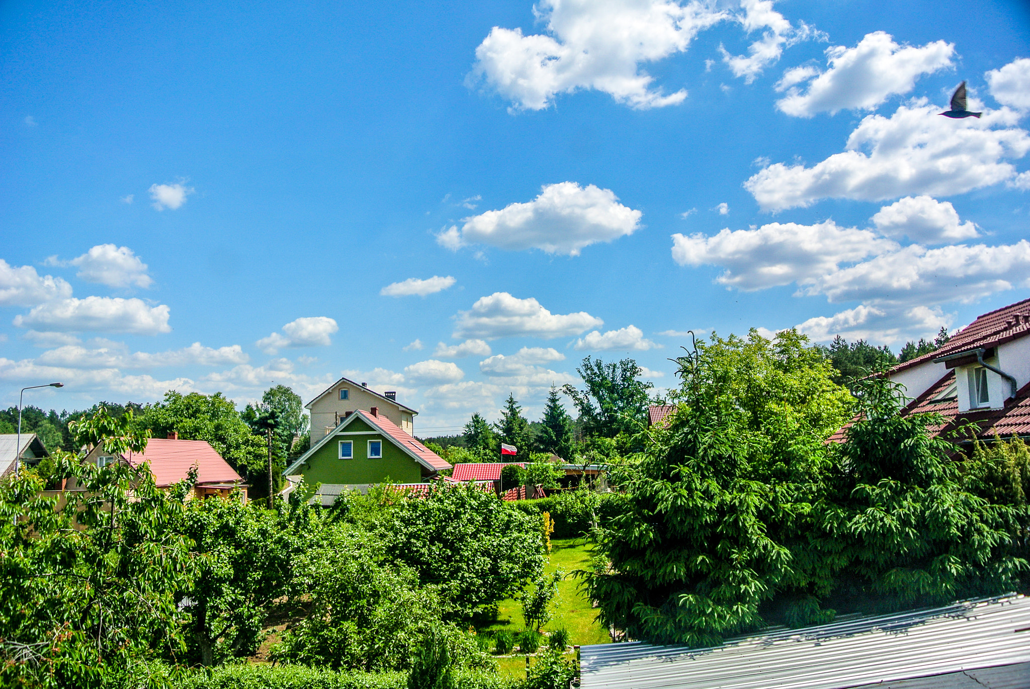 Nikon 1 V1 sample photo. Trough the window 22.5.2018 photography